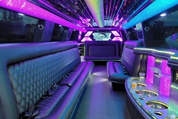 Baton Rouge Limo Interior
