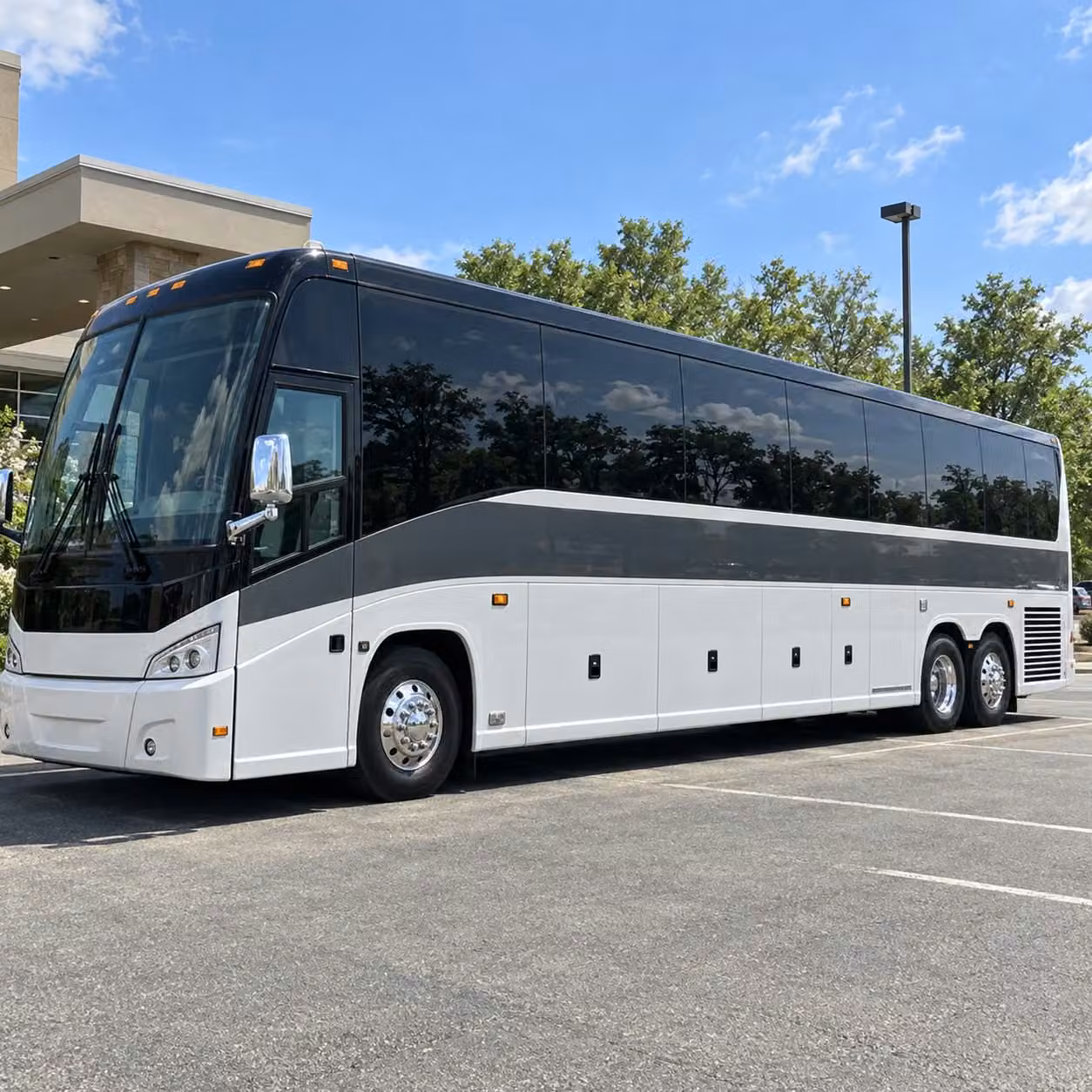 because prom night in baton rouge only happens once book the right bus